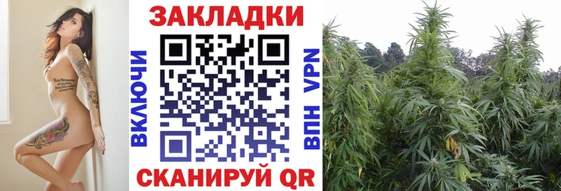 Где купить наркотики Пенза ГАШИШ  А ПВП  Cocaine  Меф  МАРИХУАНА 