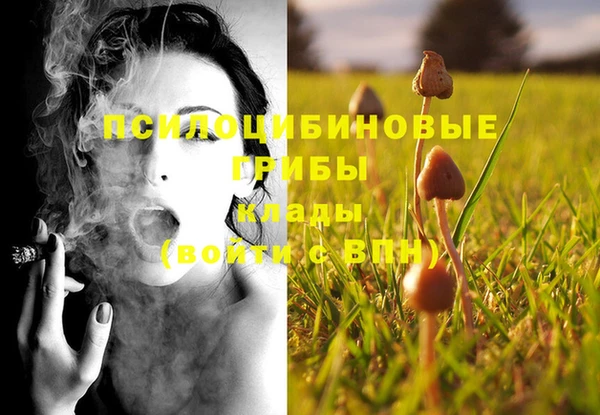 экстази Пересвет