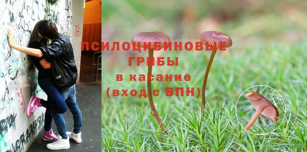 сатива Переславль-Залесский
