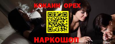 Альфа ПВП Гатчина