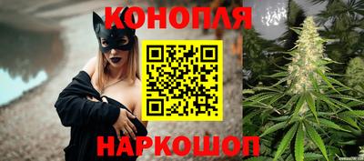 Альфа ПВП Гатчина