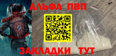 гидра Тара