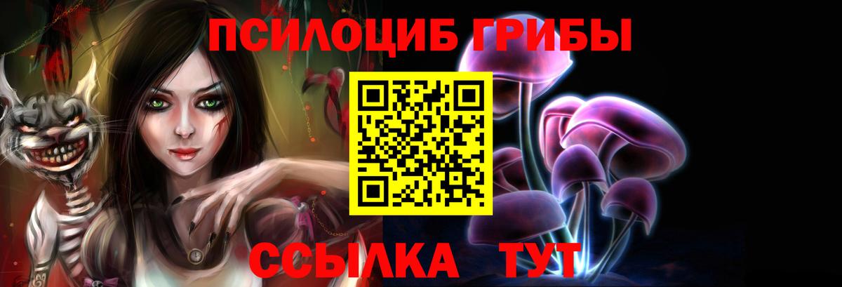 Пенза  Псилоцибиновые грибы прущие грибы  Вход с VPN 